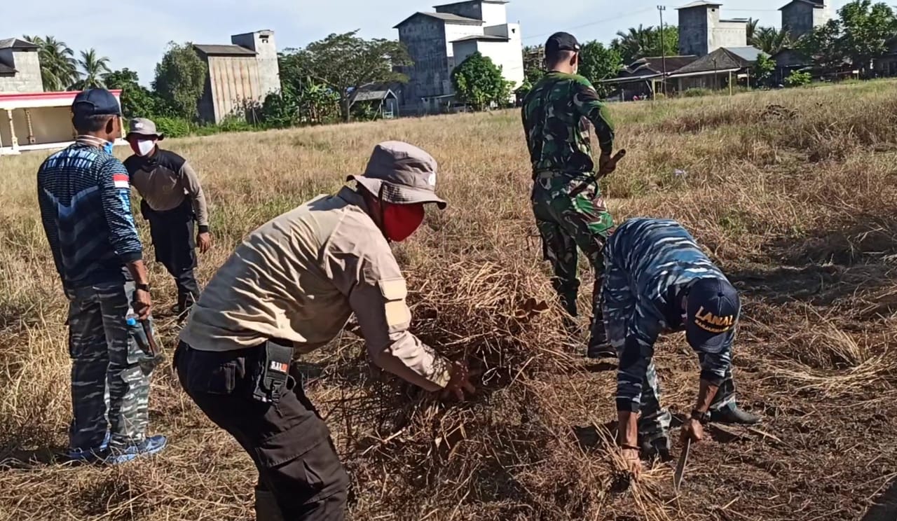 Sinergitas TNI, Polri Bersama Instansi pemeritahan dan warga, Bersihkan Lapangan Sepak bola dalam Rangka Hari Kabupaten Pulang Pisau Ke 18