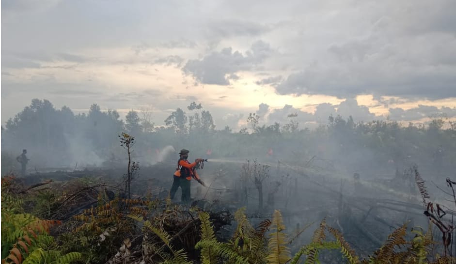 Awas Bencana Sesak Napas, Pantauan Satgas PDB Karhutla Provinsi Kalteng