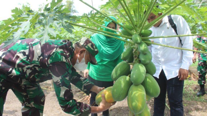 Brigjen TNI Jimmy Ajak Masyarakat Kepri Budidaya Tanaman Holtikultura