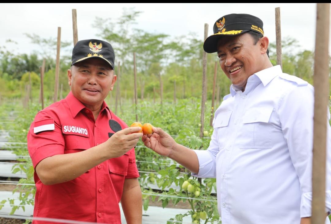 Gubernur Sugianto Sabran : Ajak Kaum Milenial Kembangkan Pertanian Di Kalteng