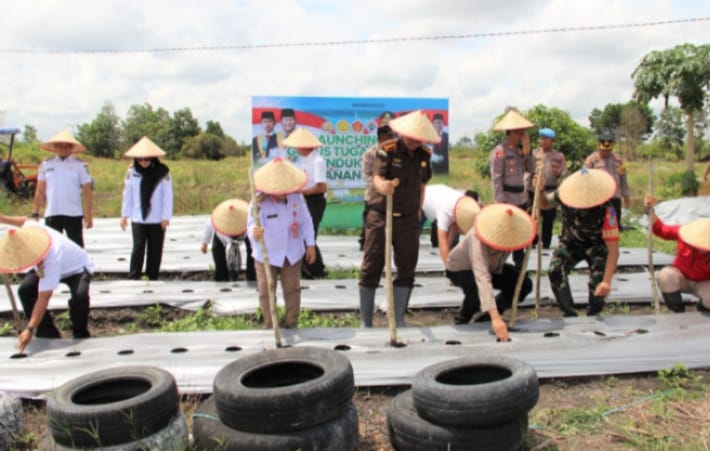 Launching Gugus Tugas Polri Mendukung Ketahanan Pangan di Desa Pamangka, Barito Selatan